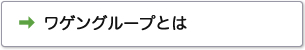 ワゲングループとは