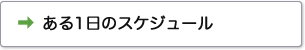 ある1日のスケジュール