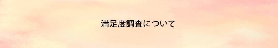 満足度調査について